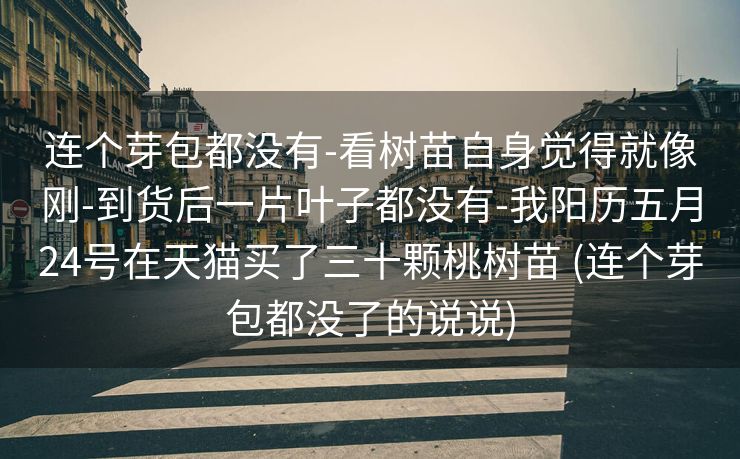 连个芽包都没有-看树苗自身觉得就像刚-到货后一片叶子都没有-我阳历五月24号在天猫买了三十颗桃树苗 (连个芽包都没了的说说)