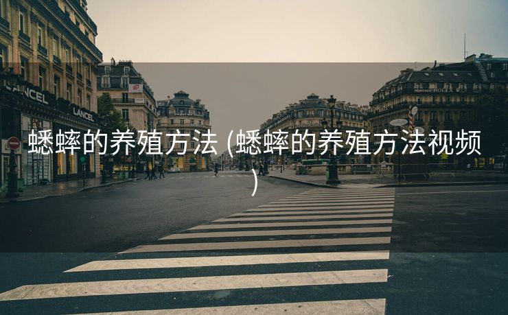 蟋蟀的养殖方法 (蟋蟀的养殖方法视频)