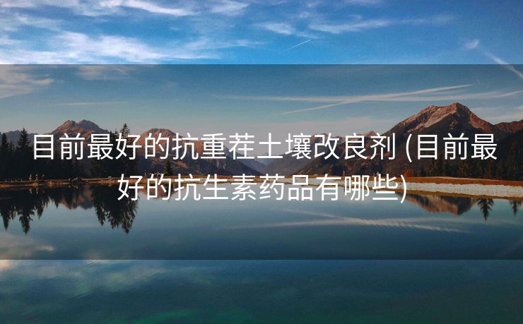 目前最好的抗重茬土壤改良剂 (目前最好的抗生素药品有哪些)