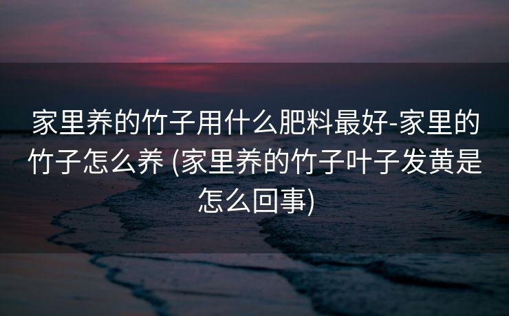 家里养的竹子用什么肥料最好-家里的竹子怎么养 (家里养的竹子叶子发黄是怎么回事)