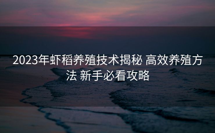2023年虾稻养殖技术揭秘 高效养殖方法 新手必看攻略