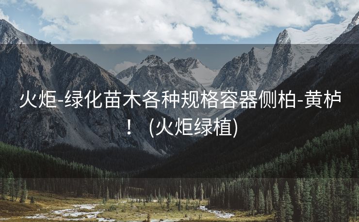 火炬-绿化苗木各种规格容器侧柏-黄栌！ (火炬绿植)