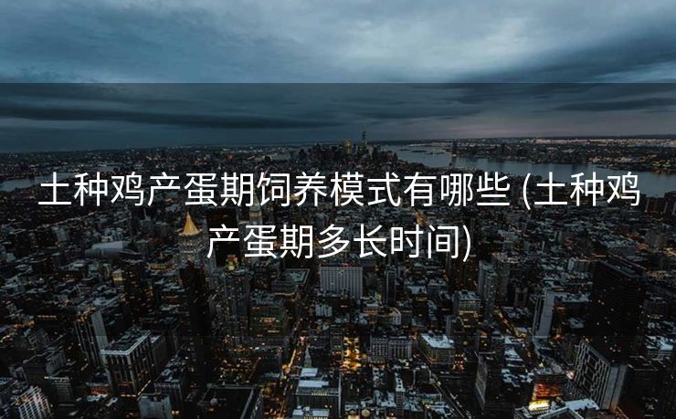 土种鸡产蛋期饲养模式有哪些 (土种鸡产蛋期多长时间)