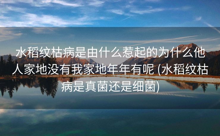 水稻纹枯病是由什么惹起的为什么他人家地没有我家地年年有呢 (水稻纹枯病是真菌还是细菌)
