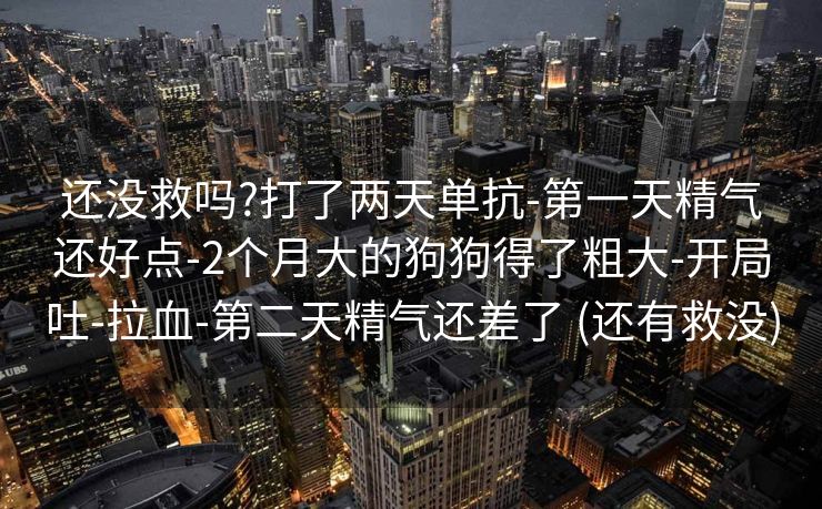 还没救吗?打了两天单抗-第一天精气还好点-2个月大的狗狗得了粗大-开局吐-拉血-第二天精气还差了 (还有救没)