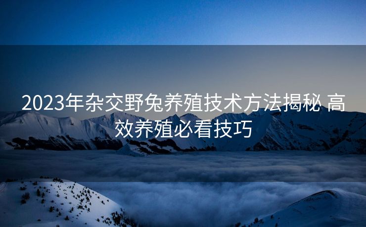 2023年杂交野兔养殖技术方法揭秘 高效养殖必看技巧