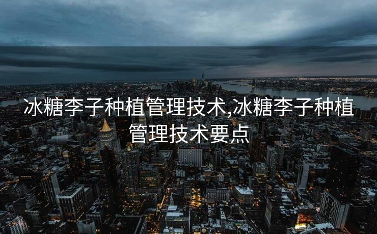 冰糖李子种植管理技术,冰糖李子种植管理技术要点