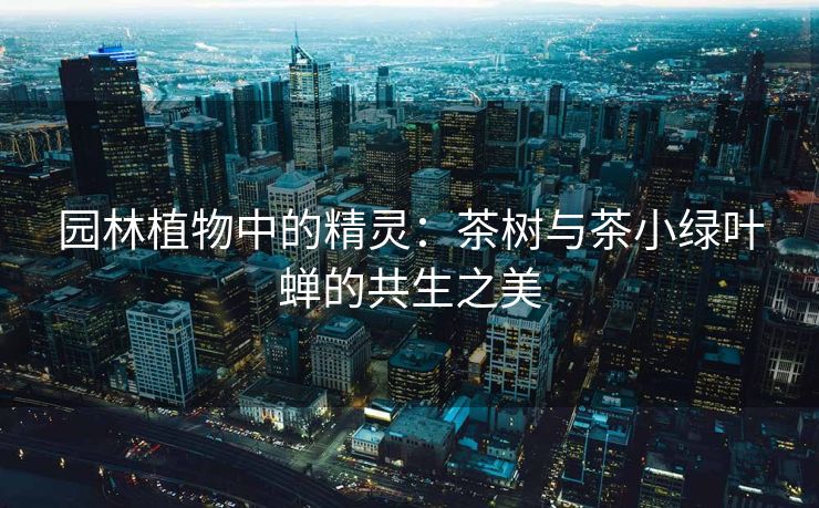 园林植物中的精灵：茶树与茶小绿叶蝉的共生之美