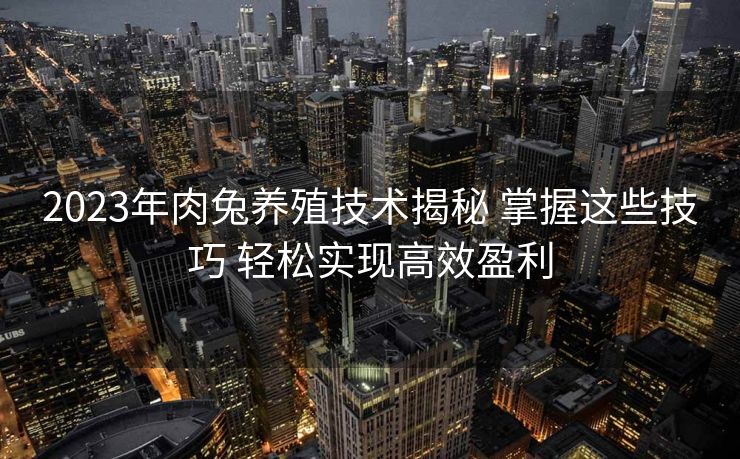 2023年肉兔养殖技术揭秘 掌握这些技巧 轻松实现高效盈利