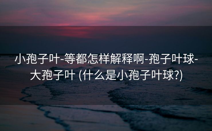 小孢子叶-等都怎样解释啊-孢子叶球-大孢子叶 (什么是小孢子叶球?)