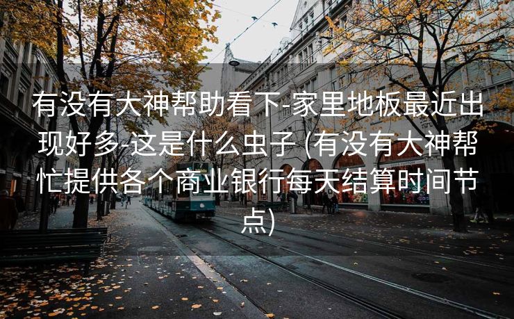 有没有大神帮助看下-家里地板最近出现好多-这是什么虫子 (有没有大神帮忙提供各个商业银行每天结算时间节点)