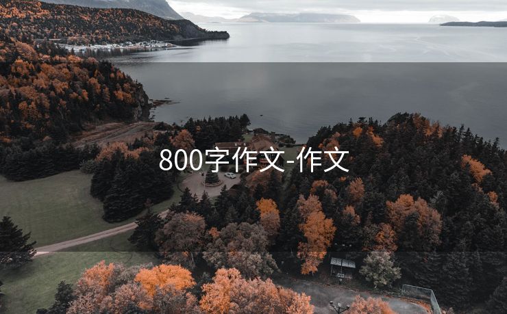 800字作文-作文