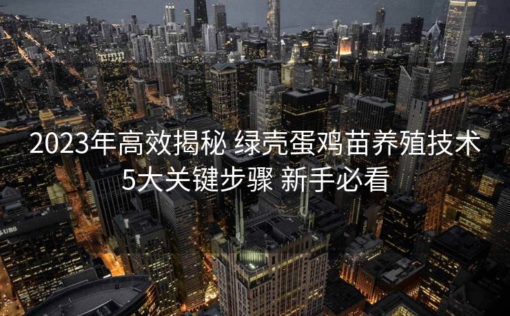 2023年高效揭秘 绿壳蛋鸡苗养殖技术5大关键步骤 新手必看