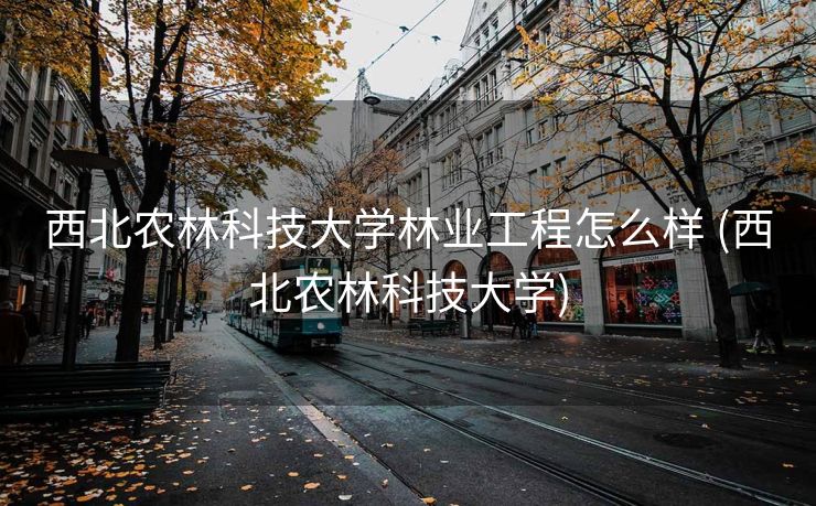 西北农林科技大学林业工程怎么样 (西北农林科技大学)
