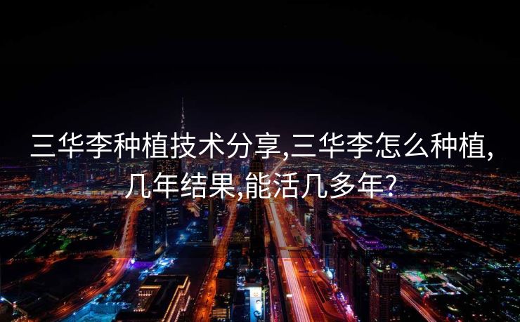 三华李种植技术分享,三华李怎么种植,几年结果,能活几多年?