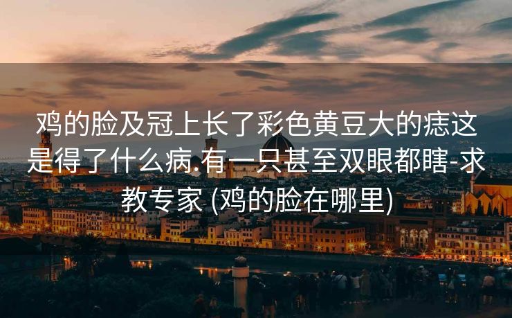 鸡的脸及冠上长了彩色黄豆大的痣这是得了什么病.有一只甚至双眼都瞎-求教专家 (鸡的脸在哪里)
