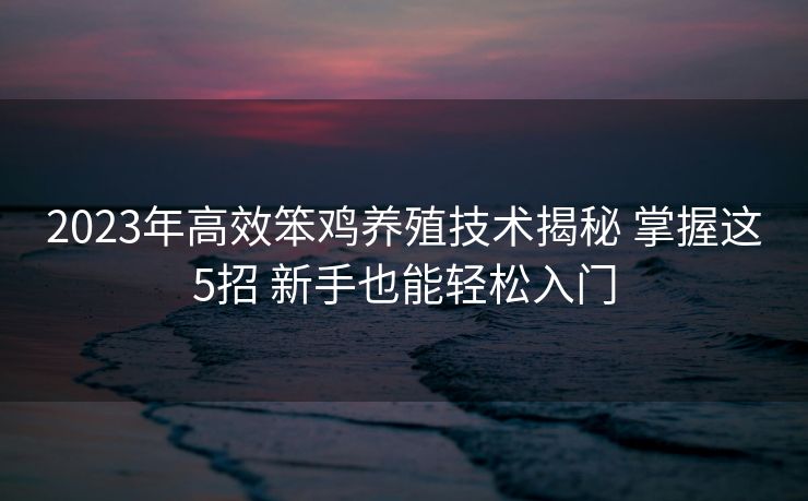 2023年高效笨鸡养殖技术揭秘 掌握这5招 新手也能轻松入门
