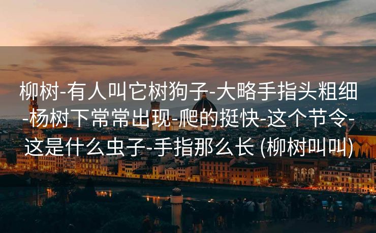 柳树-有人叫它树狗子-大略手指头粗细-杨树下常常出现-爬的挺快-这个节令-这是什么虫子-手指那么长 (柳树叫叫)