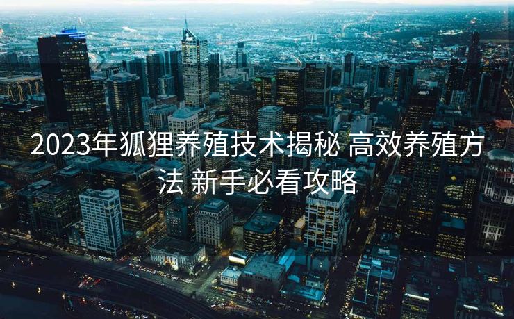 2023年狐狸养殖技术揭秘 高效养殖方法 新手必看攻略