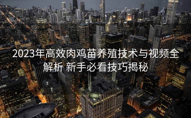 2023年高效肉鸡苗养殖技术与视频全解析 新手必看技巧揭秘