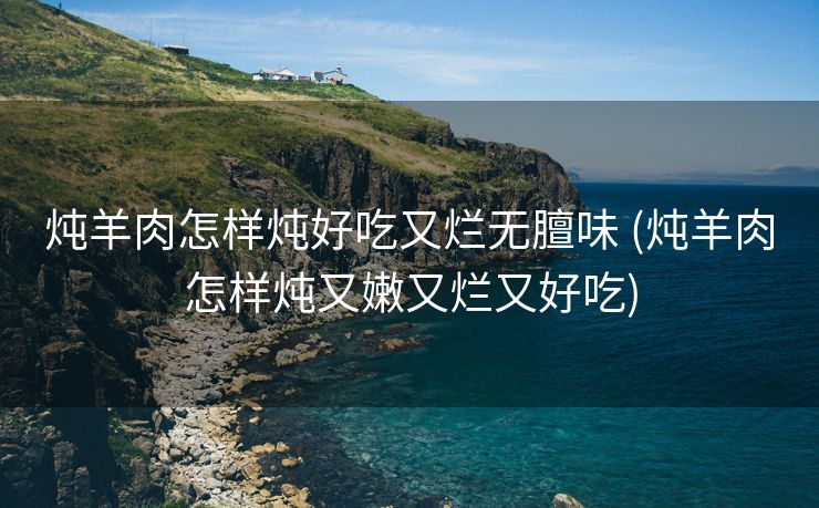 炖羊肉怎样炖好吃又烂无膻味 (炖羊肉怎样炖又嫩又烂又好吃)