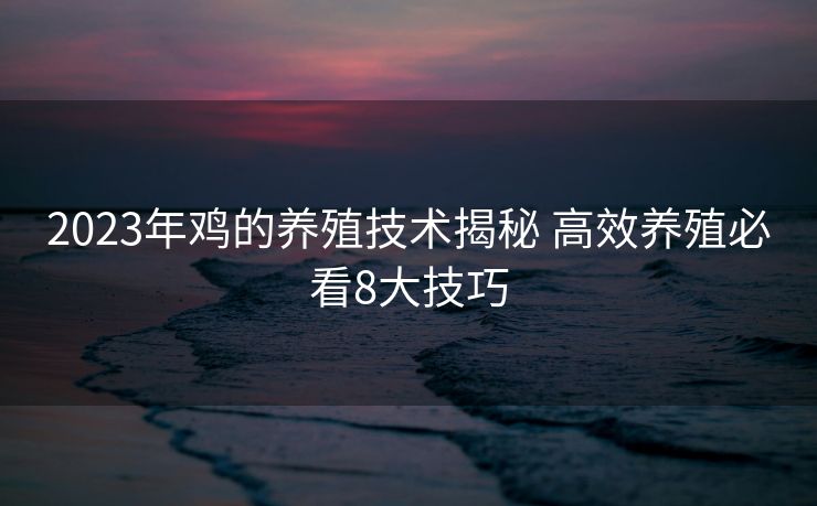 2023年鸡的养殖技术揭秘 高效养殖必看8大技巧