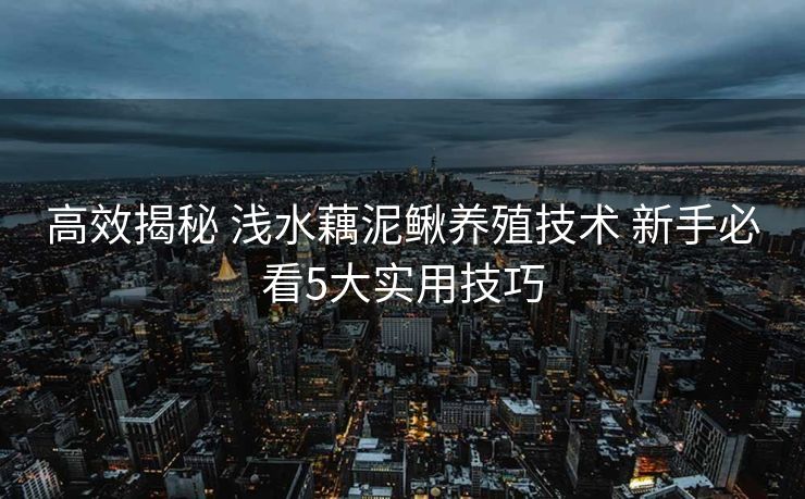 高效揭秘 浅水藕泥鳅养殖技术 新手必看5大实用技巧