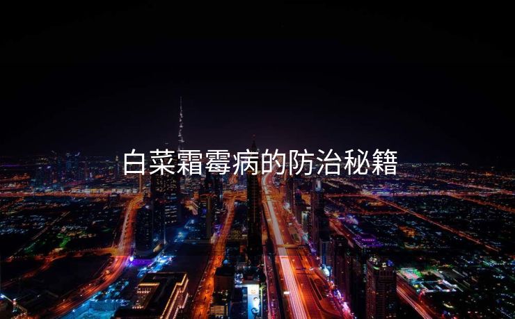 白菜霜霉病的防治秘籍