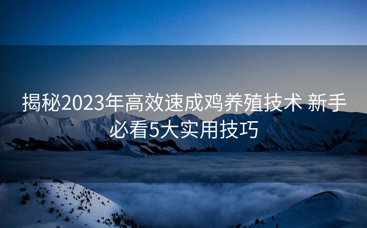 揭秘2023年高效速成鸡养殖技术 新手必看5大实用技巧 揭秘2023年高效速成鸡养殖技术 新手必看5大实用技巧