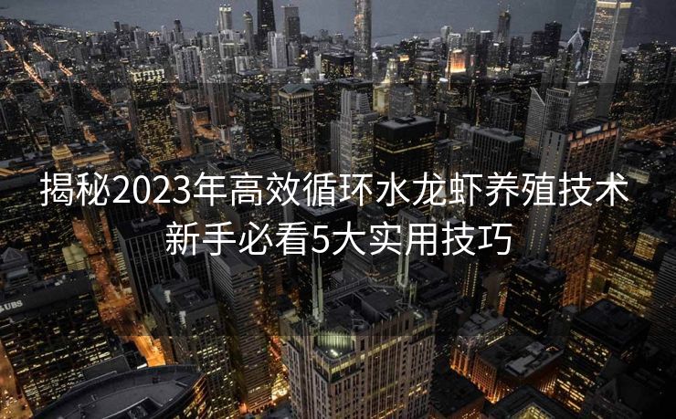 揭秘2023年高效循环水龙虾养殖技术 新手必看5大实用技巧