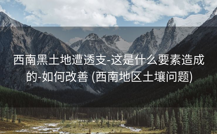 西南黑土地遭透支-这是什么要素造成的-如何改善 (西南地区土壤问题)