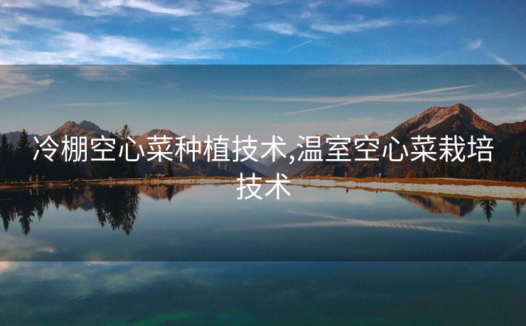 冷棚空心菜种植技术,温室空心菜栽培技术