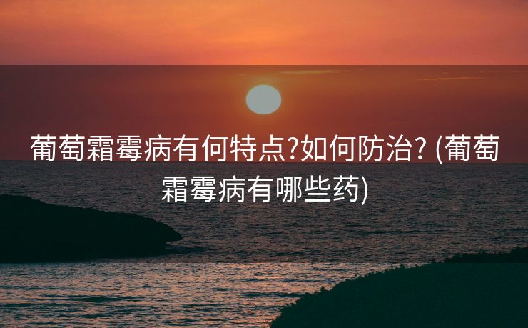 葡萄霜霉病有何特点?如何防治? (葡萄霜霉病有哪些药)