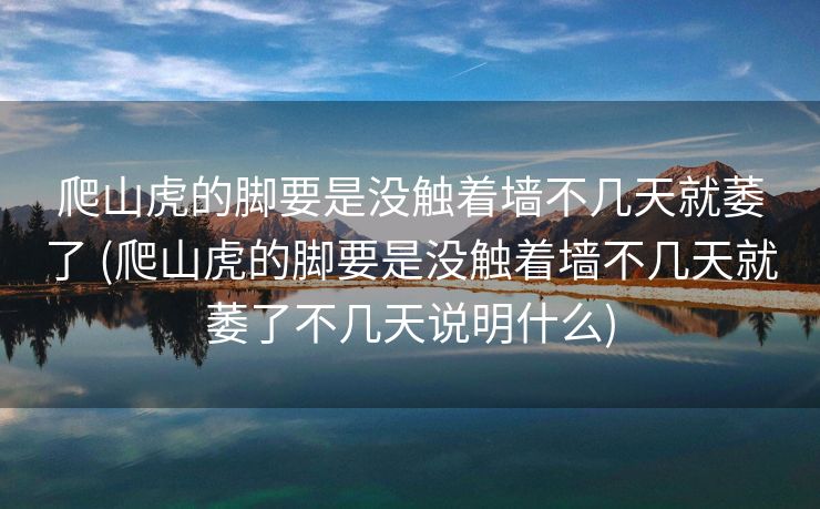 爬山虎的脚要是没触着墙不几天就萎了 (爬山虎的脚要是没触着墙不几天就萎了不几天说明什么)