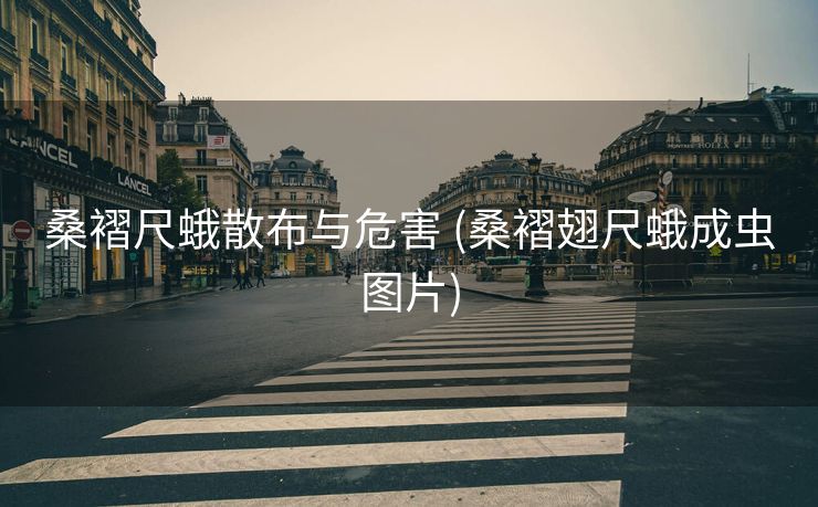 桑褶尺蛾散布与危害 (桑褶翅尺蛾成虫图片)