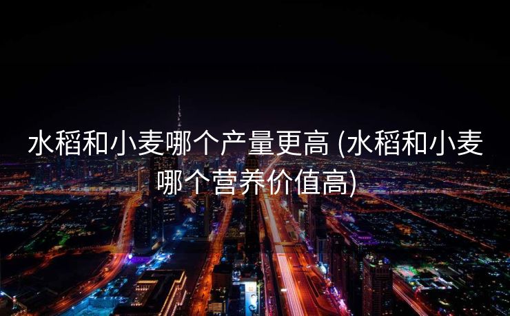 水稻和小麦哪个产量更高 (水稻和小麦哪个营养价值高)