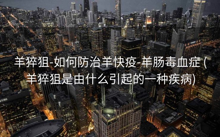 羊猝狙-如何防治羊快疫-羊肠毒血症 (羊猝狙是由什么引起的一种疾病)