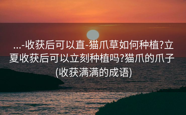 ...-收获后可以直-猫爪草如何种植?立夏收获后可以立刻种植吗?猫爪的爪子 (收获满满的成语)
