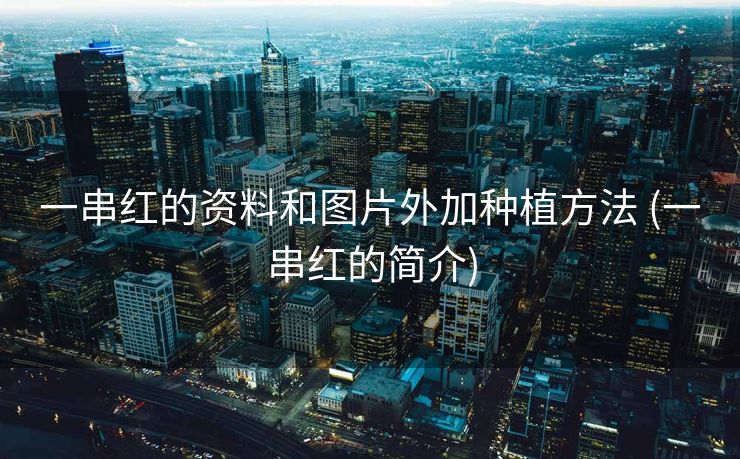 一串红的资料和图片外加种植方法 (一串红的简介)