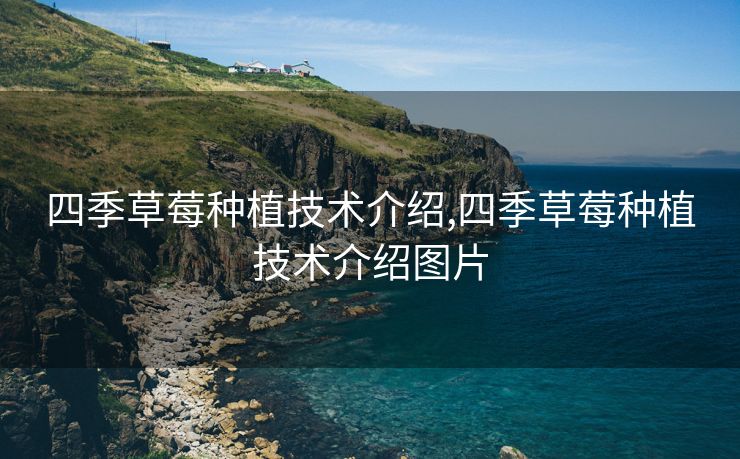 四季草莓种植技术介绍,四季草莓种植技术介绍图片