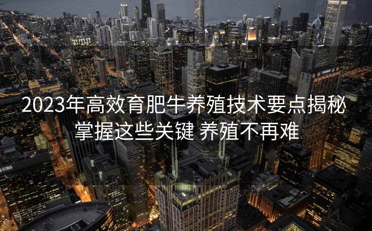 2023年高效育肥牛养殖技术要点揭秘 掌握这些关键 养殖不再难