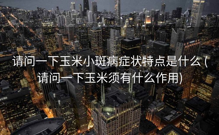 请问一下玉米小斑病症状特点是什么 (请问一下玉米须有什么作用)
