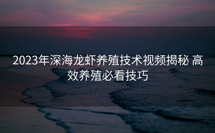 2023年深海龙虾养殖技术视频揭秘 高效养殖必看技巧 2023年深海龙虾养殖技术视频揭秘 高效养殖必看技巧