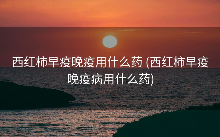 西红柿早疫晚疫用什么药 (西红柿早疫晚疫病用什么药)