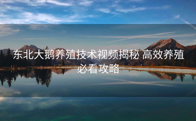 东北大鹅养殖技术视频揭秘 高效养殖必看攻略