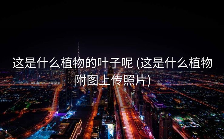 这是什么植物的叶子呢 (这是什么植物附图上传照片)