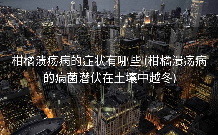 柑橘溃疡病的症状有哪些 (柑橘溃疡病的病菌潜伏在土壤中越冬)
