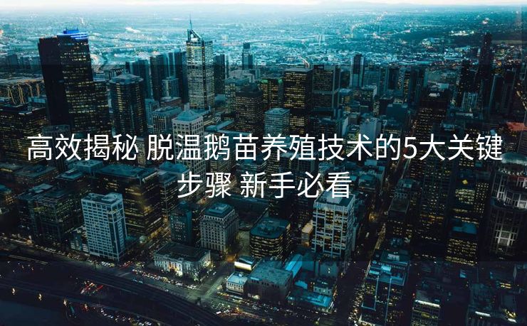 高效揭秘 脱温鹅苗养殖技术的5大关键步骤 新手必看 高效揭秘 脱温鹅苗养殖技术的5大关键步骤 新手必看
