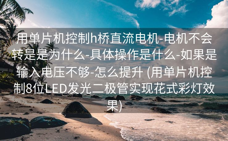 用单片机控制h桥直流电机-电机不会转是是为什么-具体操作是什么-如果是输入电压不够-怎么提升 (用单片机控制8位LED发光二极管实现花式彩灯效果)