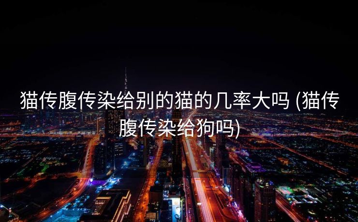 猫传腹传染给别的猫的几率大吗 (猫传腹传染给狗吗)